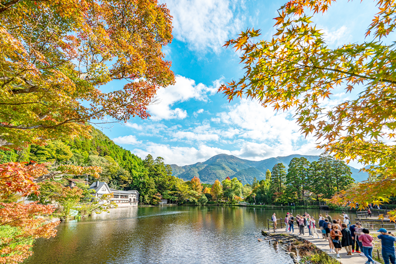 日本福岡別府熊本柳川5天團