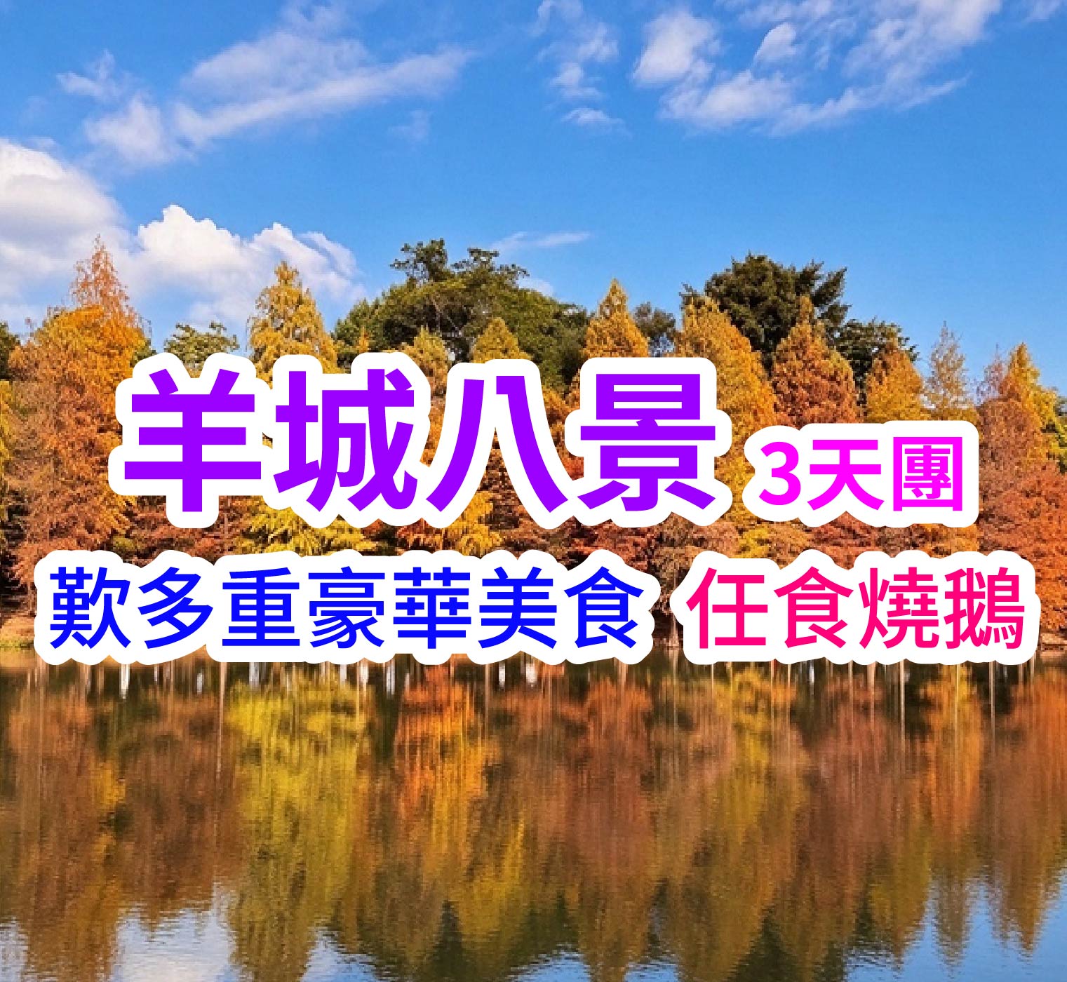 打卡最美羊城八景之龍洞琪林，龍騰四海功夫魚宴&鴿吞翅+任食燒鵝美食3天團