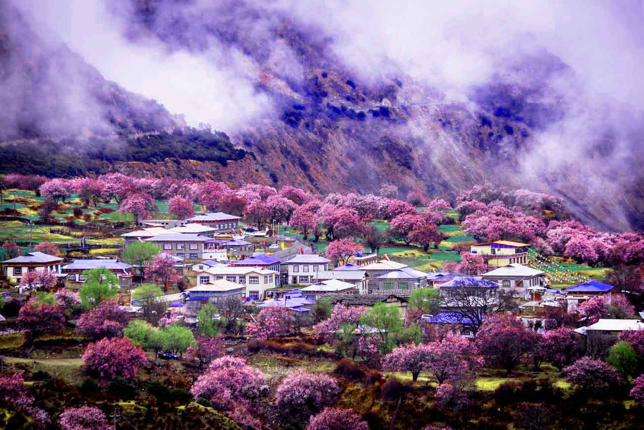 【圓夢西藏】賞一年一度林芝桃花 雅魯藏布大峽谷/巴松措/布達拉宮/大昭寺/八角街/羊卓雍措/色季拉山/林則精靈谷 深圳直航拉薩抵玩7天團