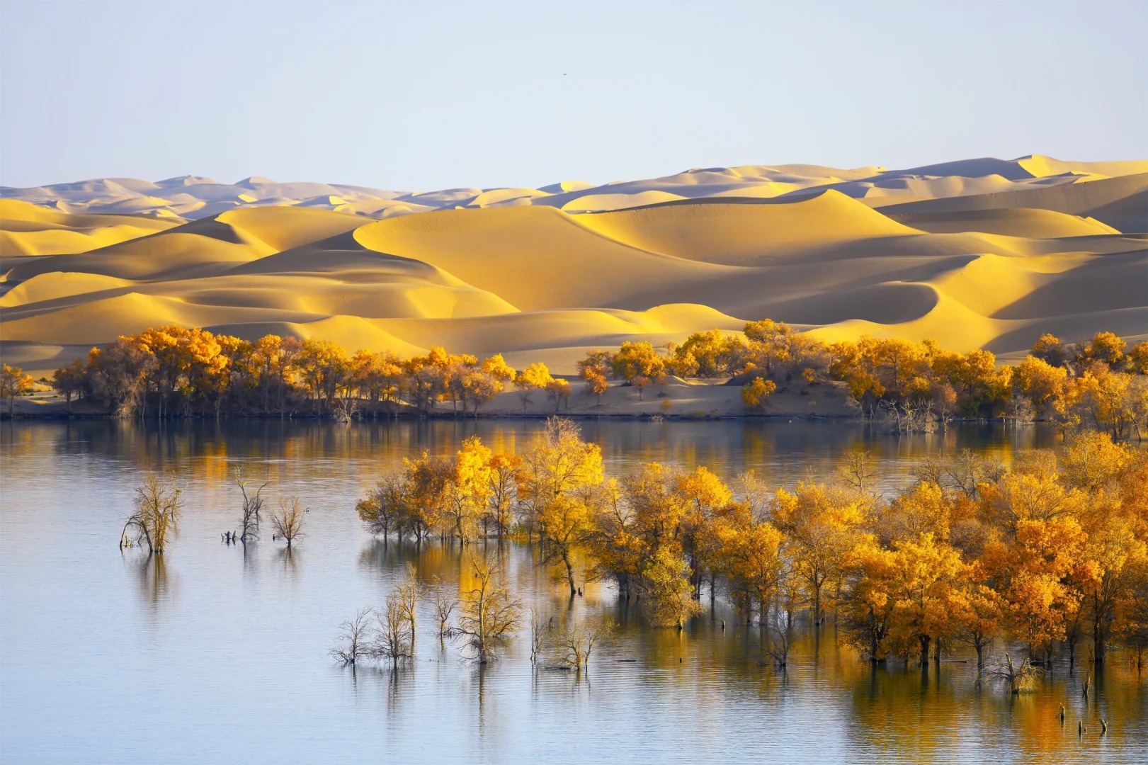 輪台胡楊林-沙雅胡楊林-睡胡楊-羅布人村寨 金秋南疆8天團