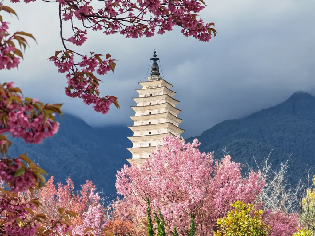 觸摸雲端 近距離打卡無限美景 西雙版納8天團