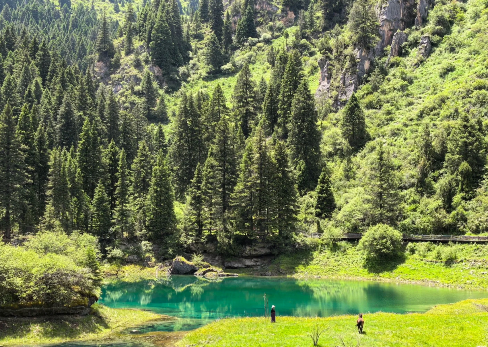 成都童話牟尼溝九寨休閒遊 6天團