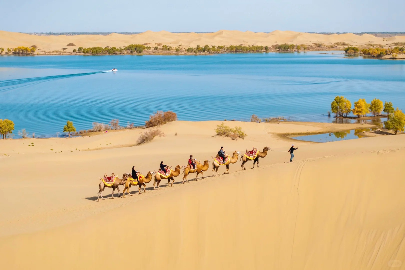 輪台胡楊林-沙雅胡楊林-睡胡楊-羅布人村寨 金秋南疆8天團