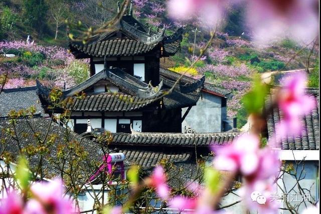 絕壁之上 行一趟華中張家界 漫遊湖北5天團