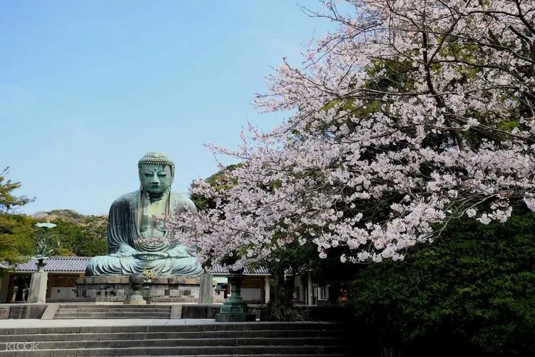 伊豆温泉鎌肩古点束京潮流惕玩 東京伊豆5天團