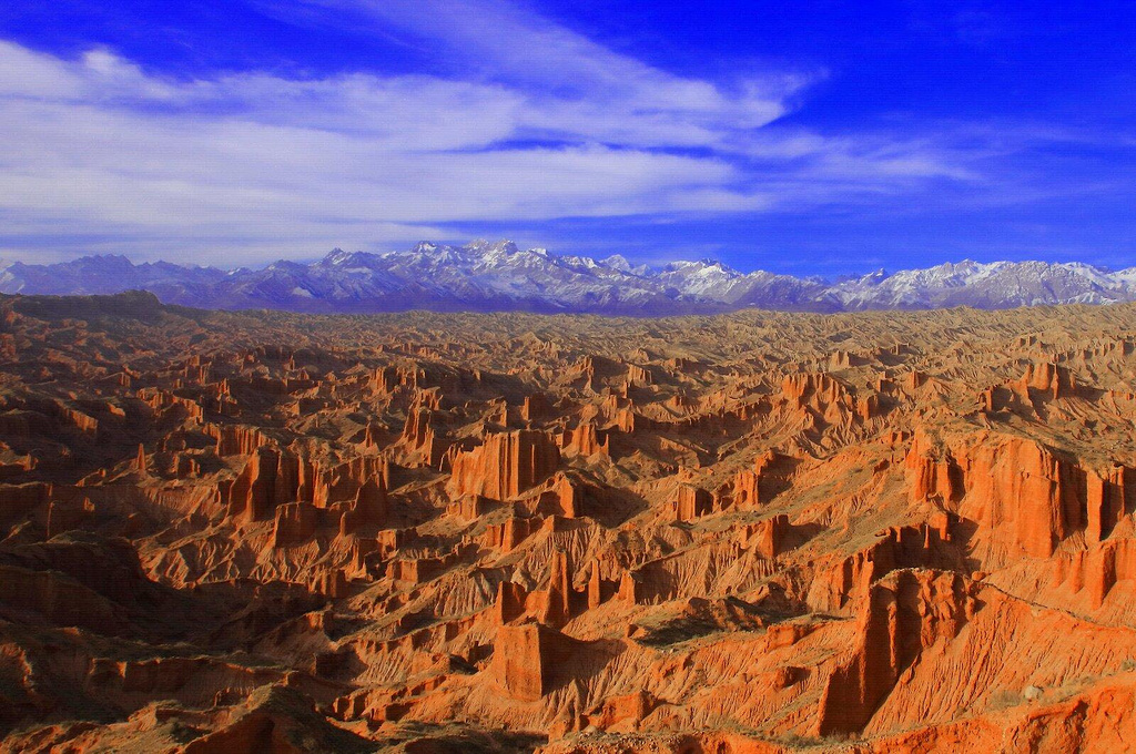 輪台胡楊林-沙雅胡楊林-睡胡楊-羅布人村寨 金秋南疆8天團