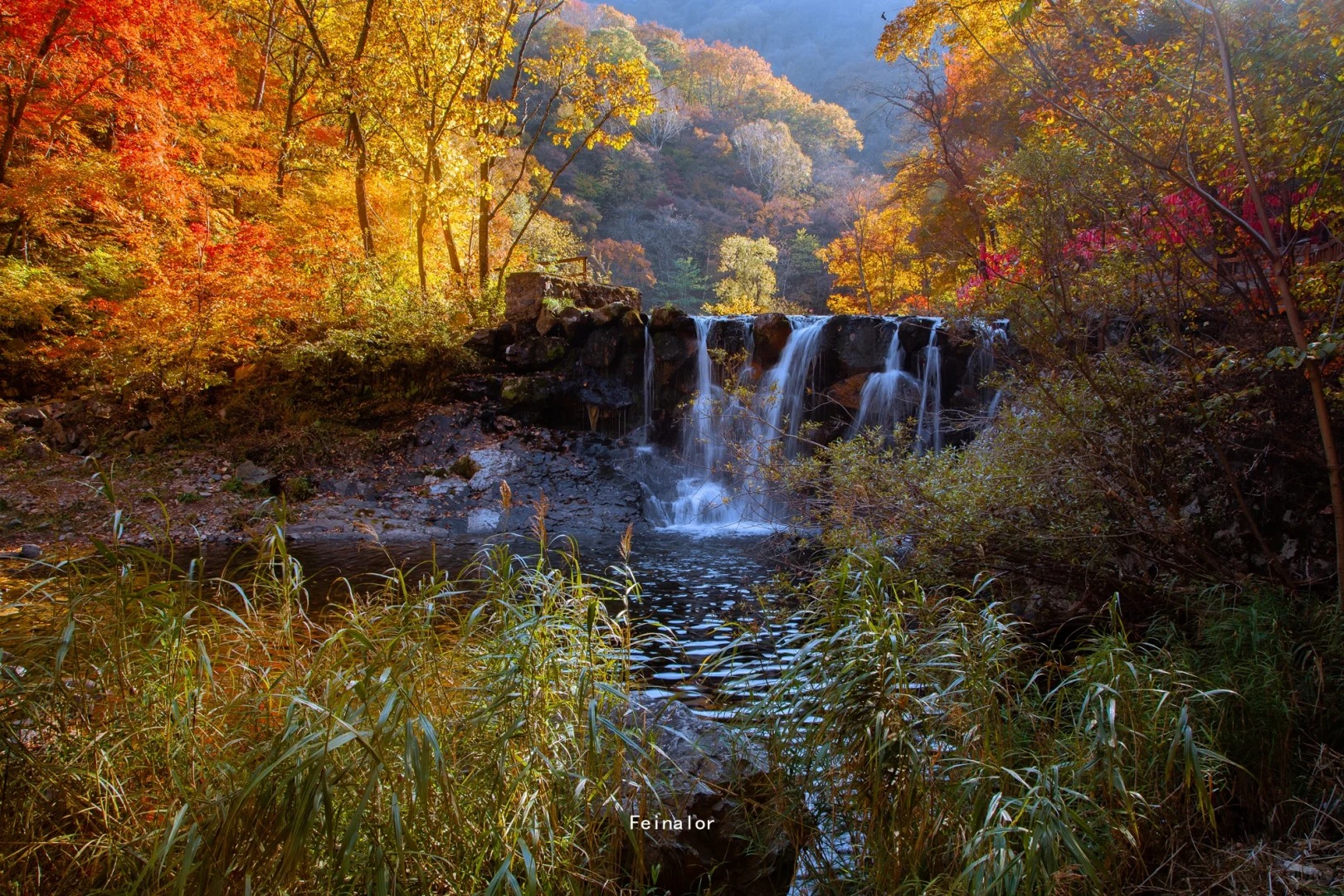 盤錦紅海灘 盡覽遼東秋日絕景 絕美秋色6天團