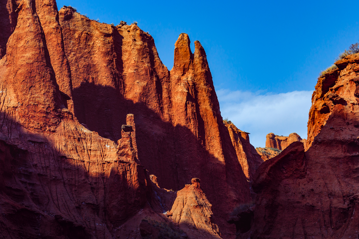 輪台胡楊林-沙雅胡楊林-睡胡楊-羅布人村寨 金秋南疆8天團