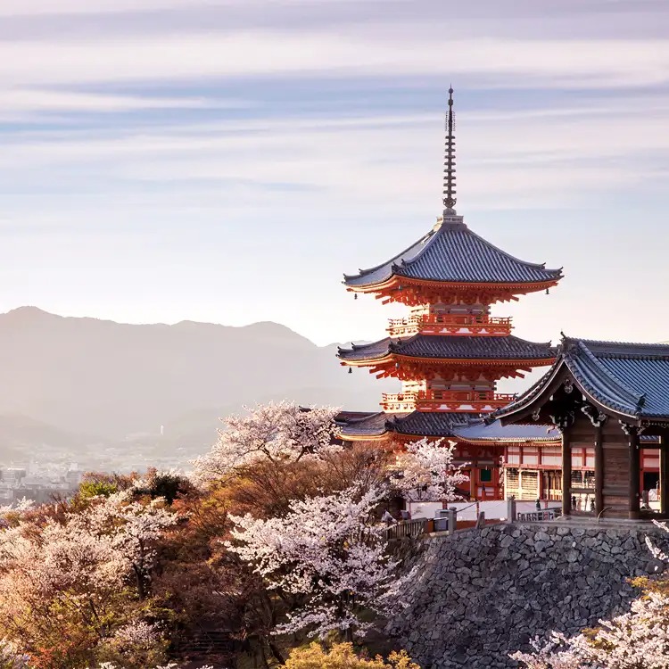 大阪清水寺嵐山5天團