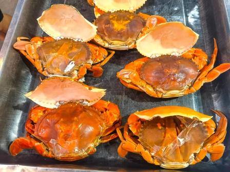 珠海2天尊享遊  食神梁文韜見面會