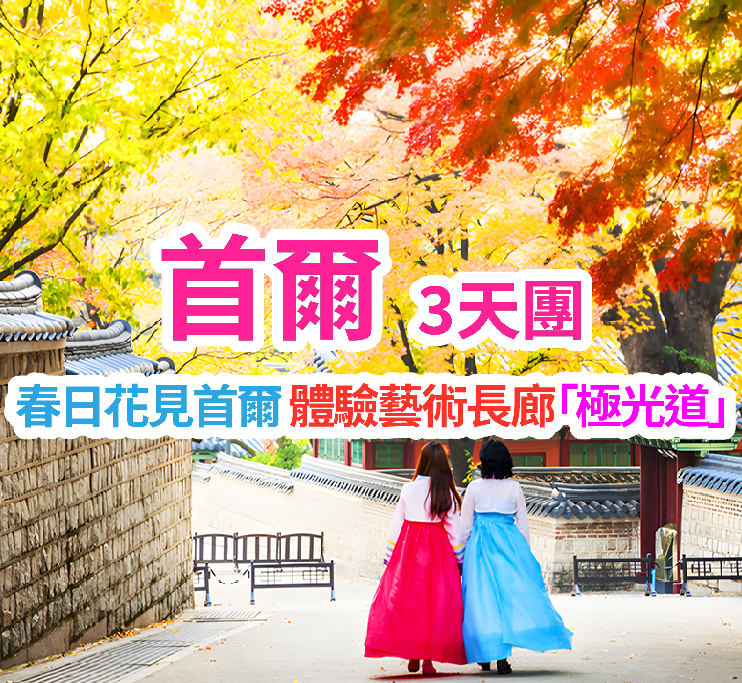 春日花見首爾 體驗藝術長廊「極光道」首爾3天團