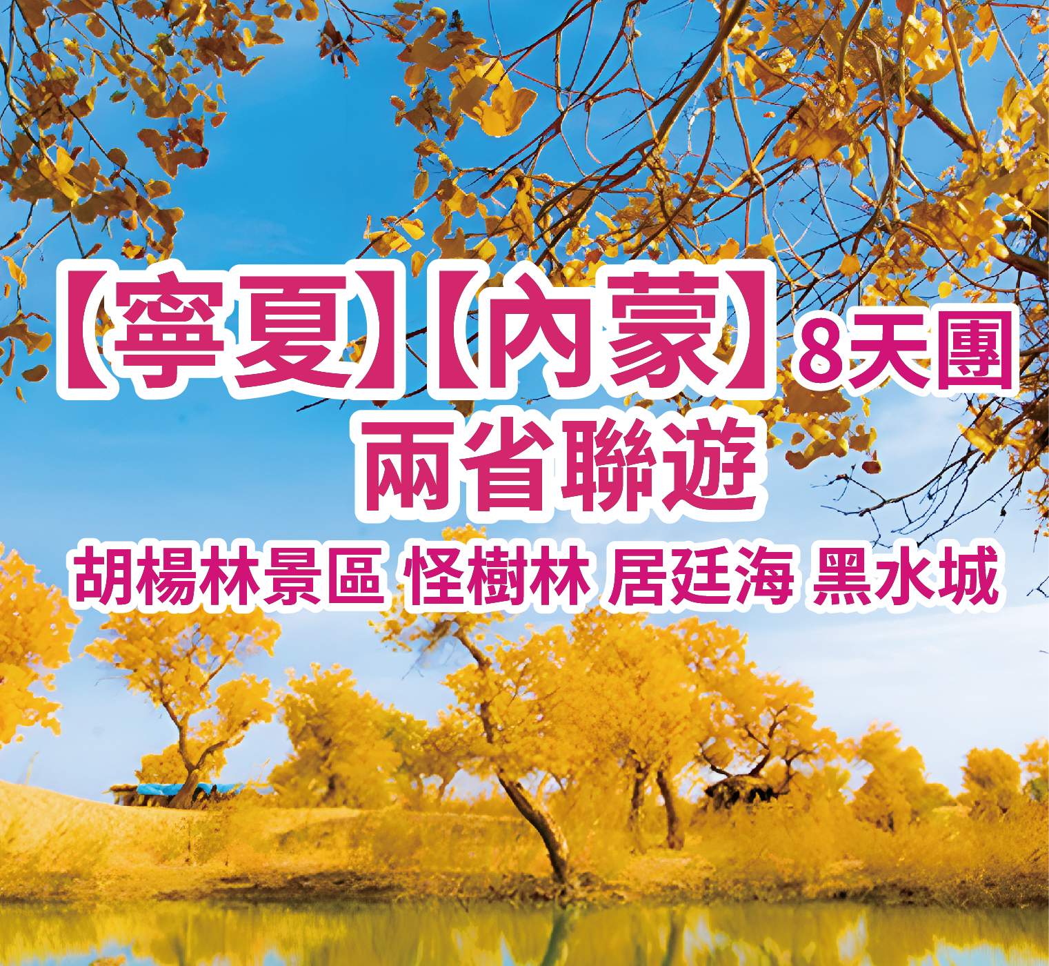寧夏-內蒙雙省遊：一年一度胡楊林-內蒙-通湖草原 直航8天團