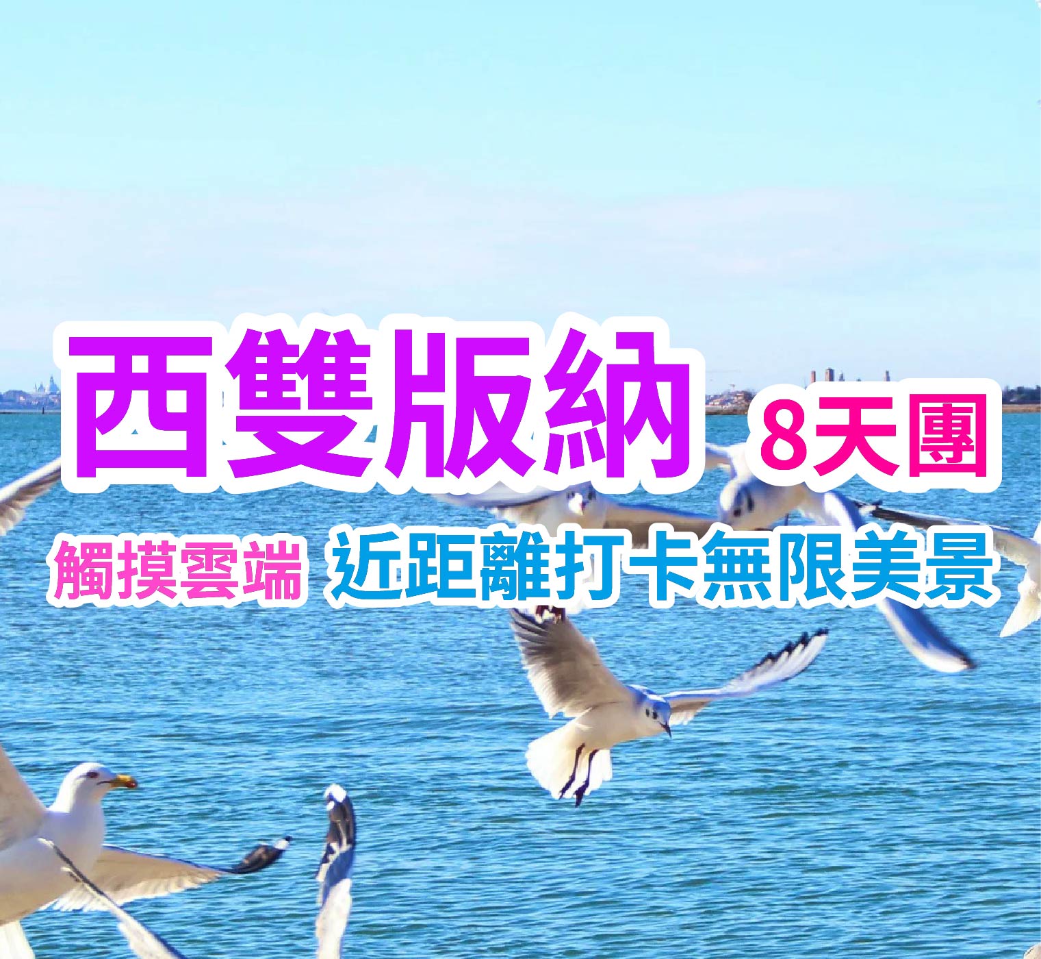 觸摸雲端 近距離打卡無限美景 西雙版納8天團