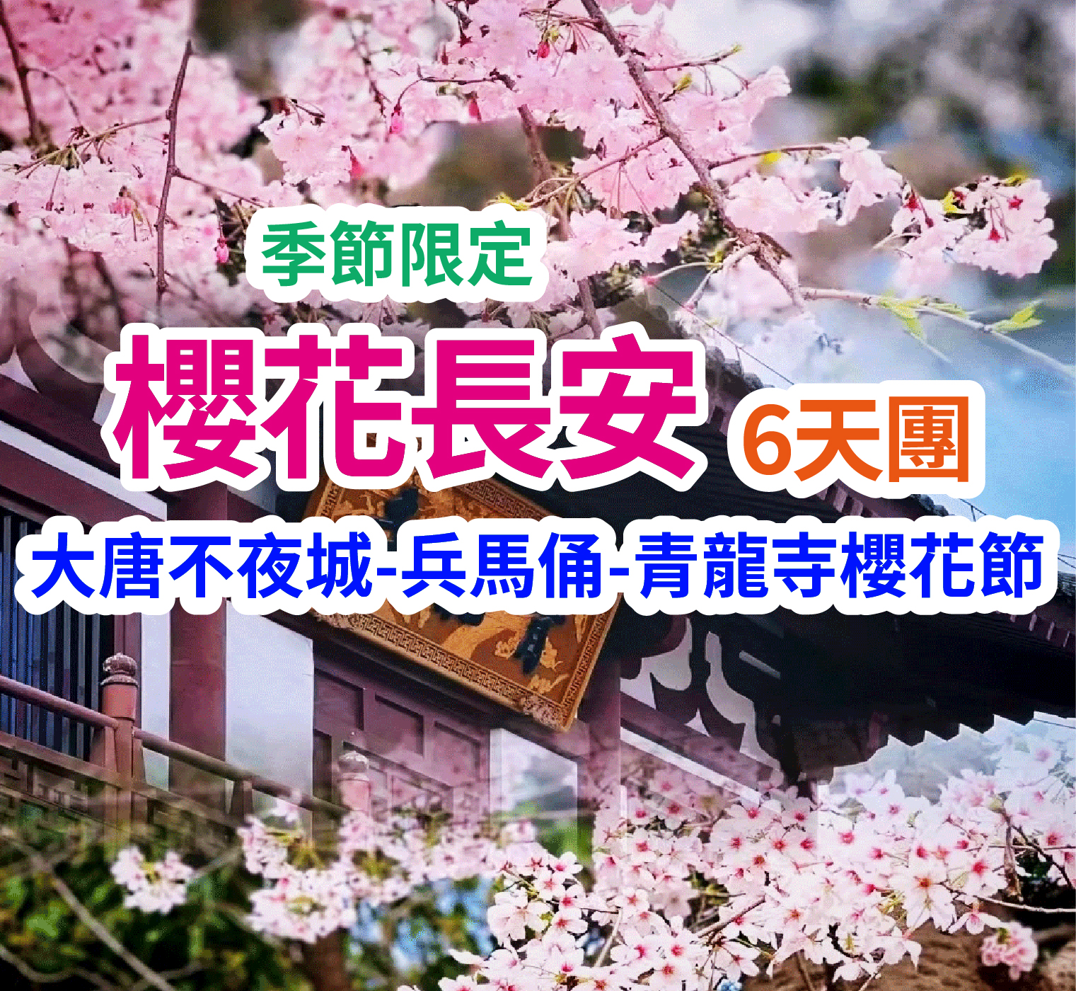 尋秦·盛唐時代 大唐不夜城 櫻花長安6天團