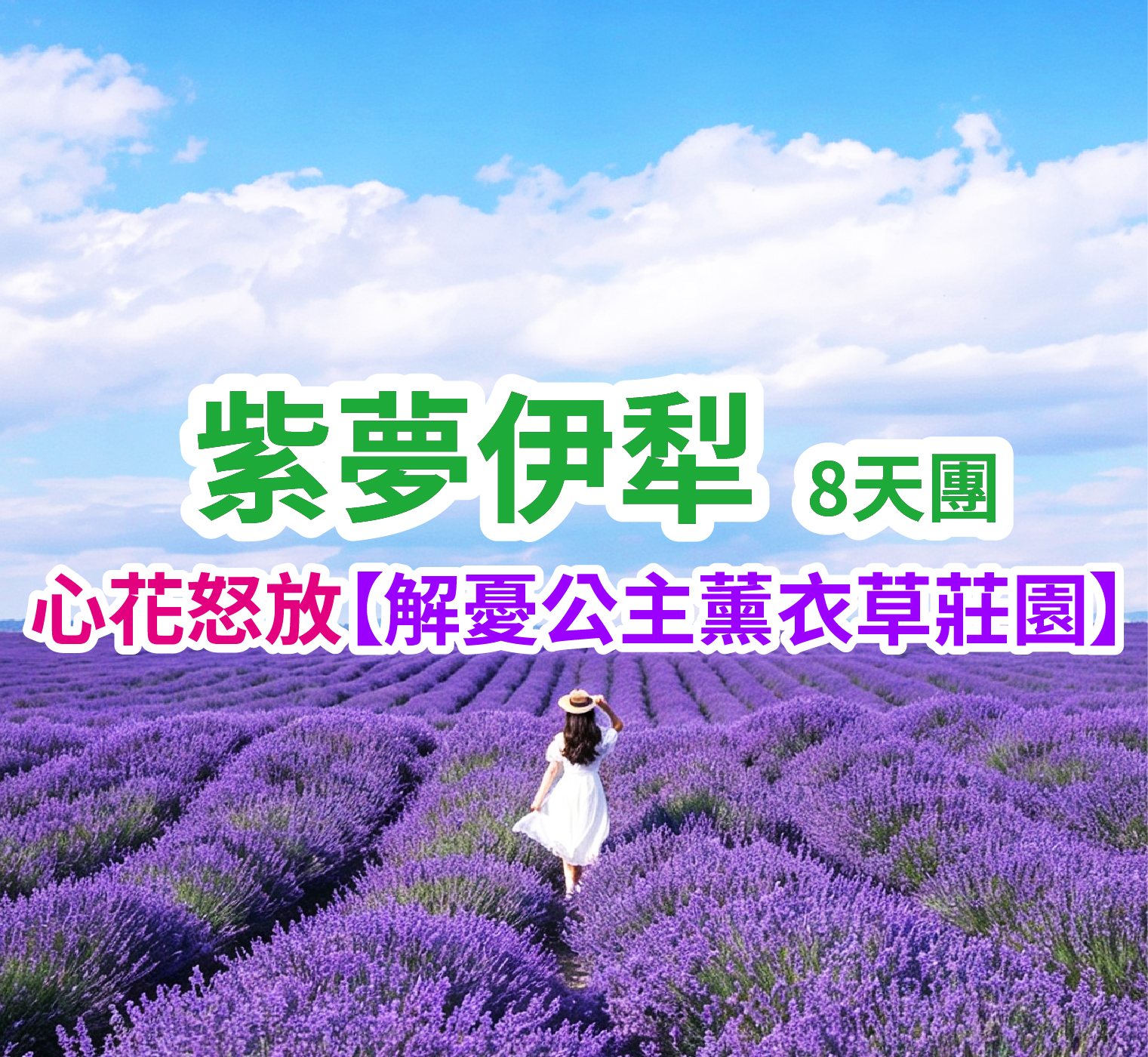 心花怒放【解憂公主薰衣草莊園】 紫夢伊犁8天團