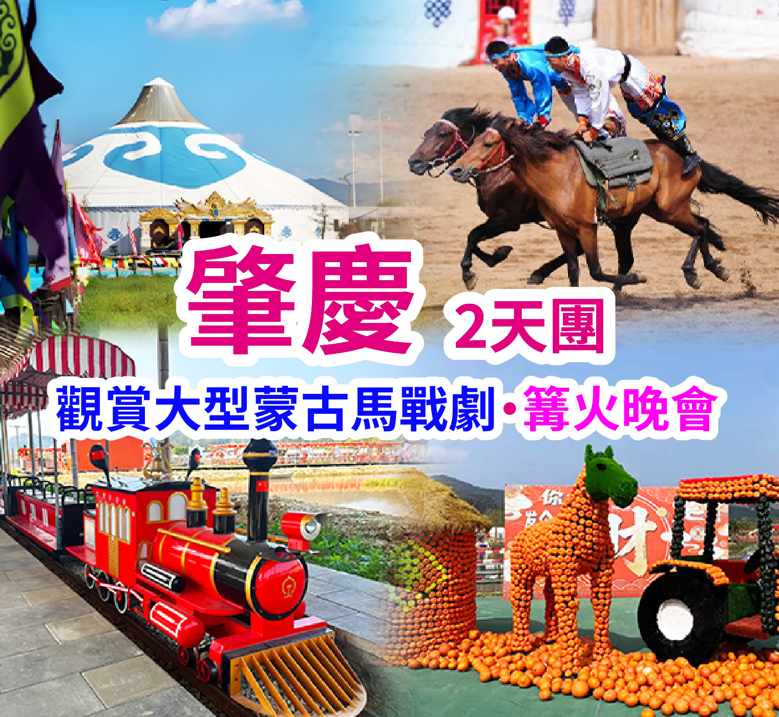 四會首屆南瓜節+蒙古大營馬術表演  四會肇慶2天團
                    