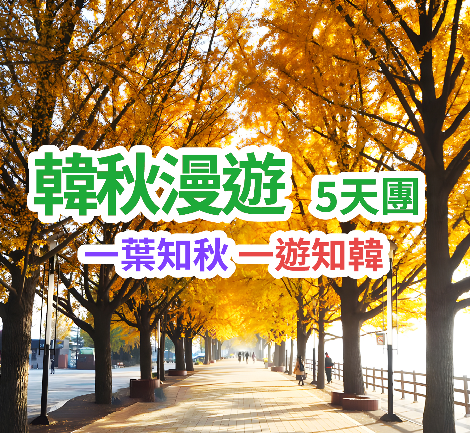 一葉知秋 一遊知韓 韓秋漫遊5天團