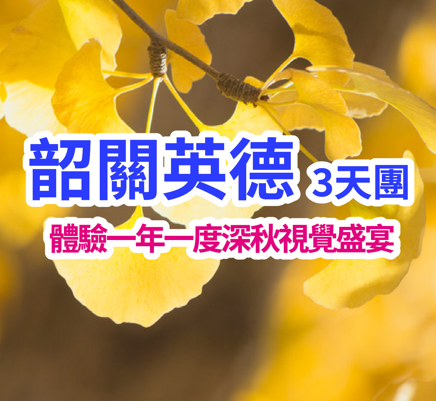 【季節限定 深秋美景】嶺南銀杏之鄉<南雄帽子峰>賞絕美秋色 任浸天然含氟偏矽酸泉 純玩3天團