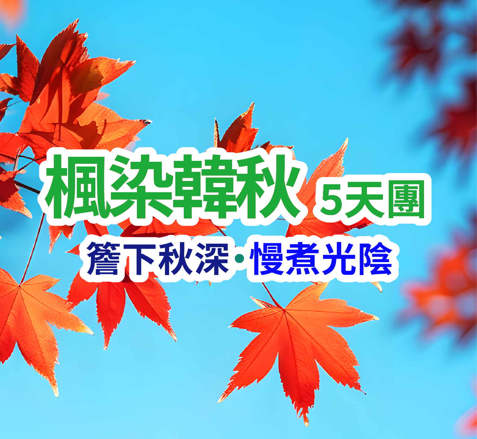簷下秋深·慢煮光陰 楓染韓秋5天團