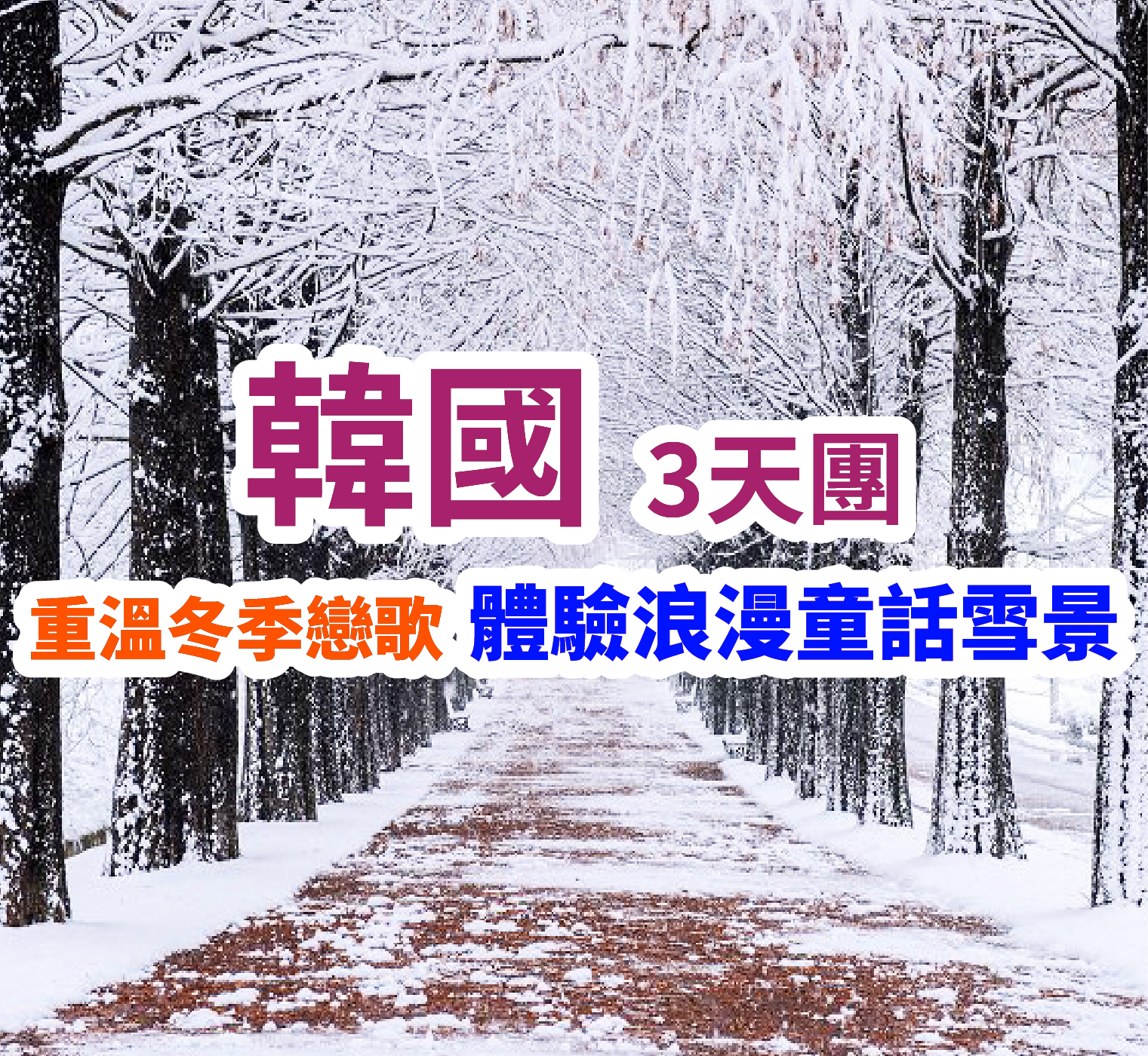 韓國體驗浪漫童話雪景 3天團