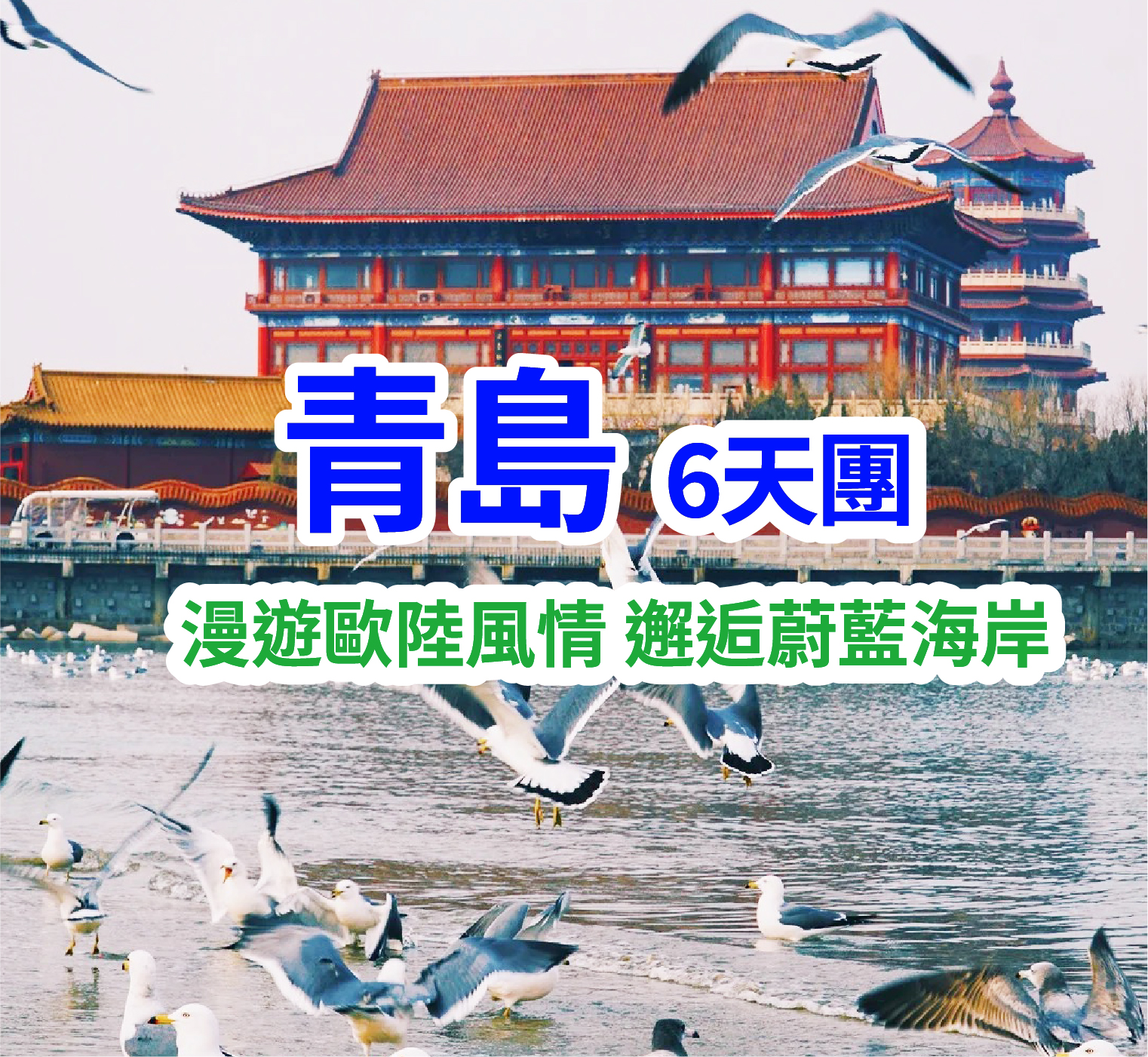 山東半島超值遊青島-八大關-威海-煙臺-蓬萊仙境直航6天團