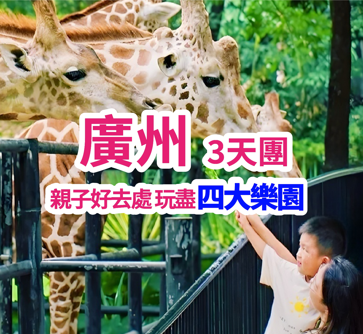 重本安排四大親子樂園【廣州熱雪奇跡】【融創大馬戲】【廣州正佳極地海洋世界】【廣州動物園】純玩3天團