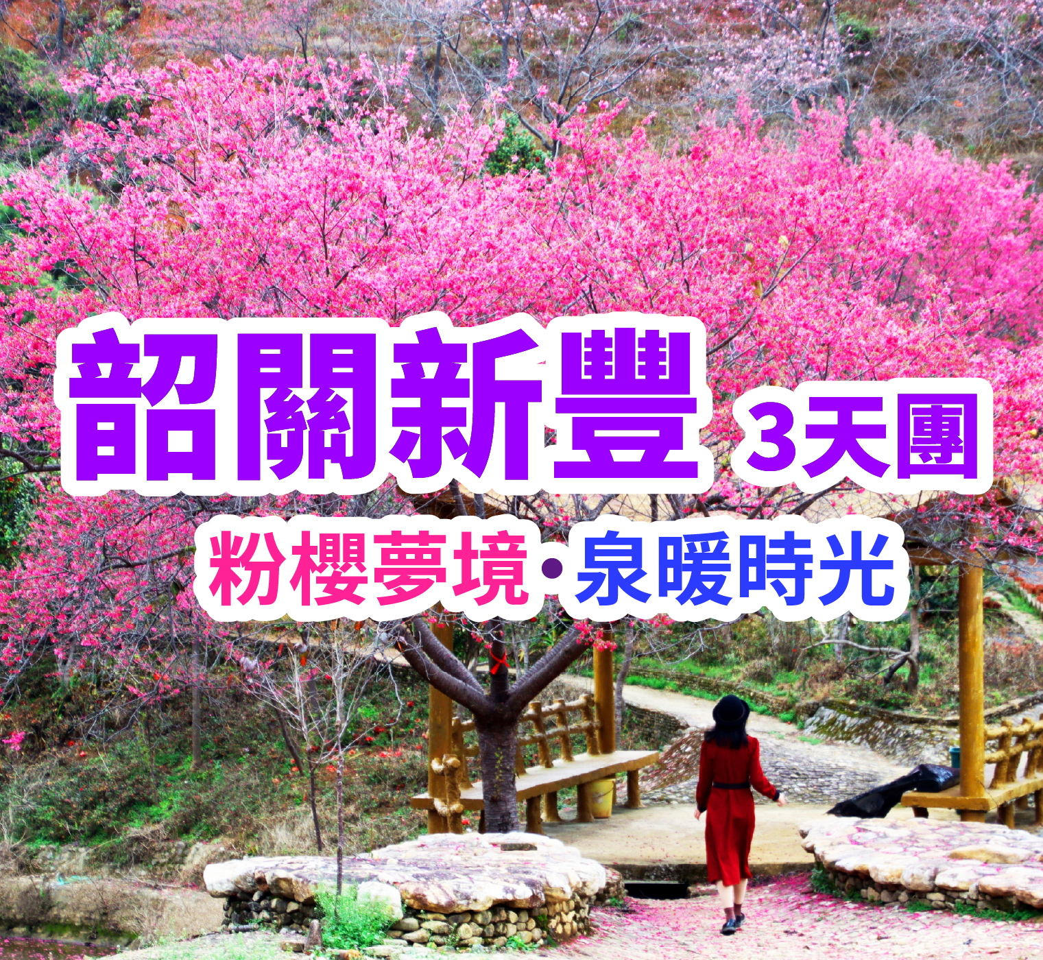 【春日限定】來一場櫻花諦境與奢華的邂逅 連住兩晚國際品牌【新豐溫德姆花園酒店】（保證入住露台獨立溫泉泡池客房） 豪歎【酒店中式自助晚餐】  重本安排贈送想旅遊貴賓每人一箱【網紅餅乾】純玩3天團