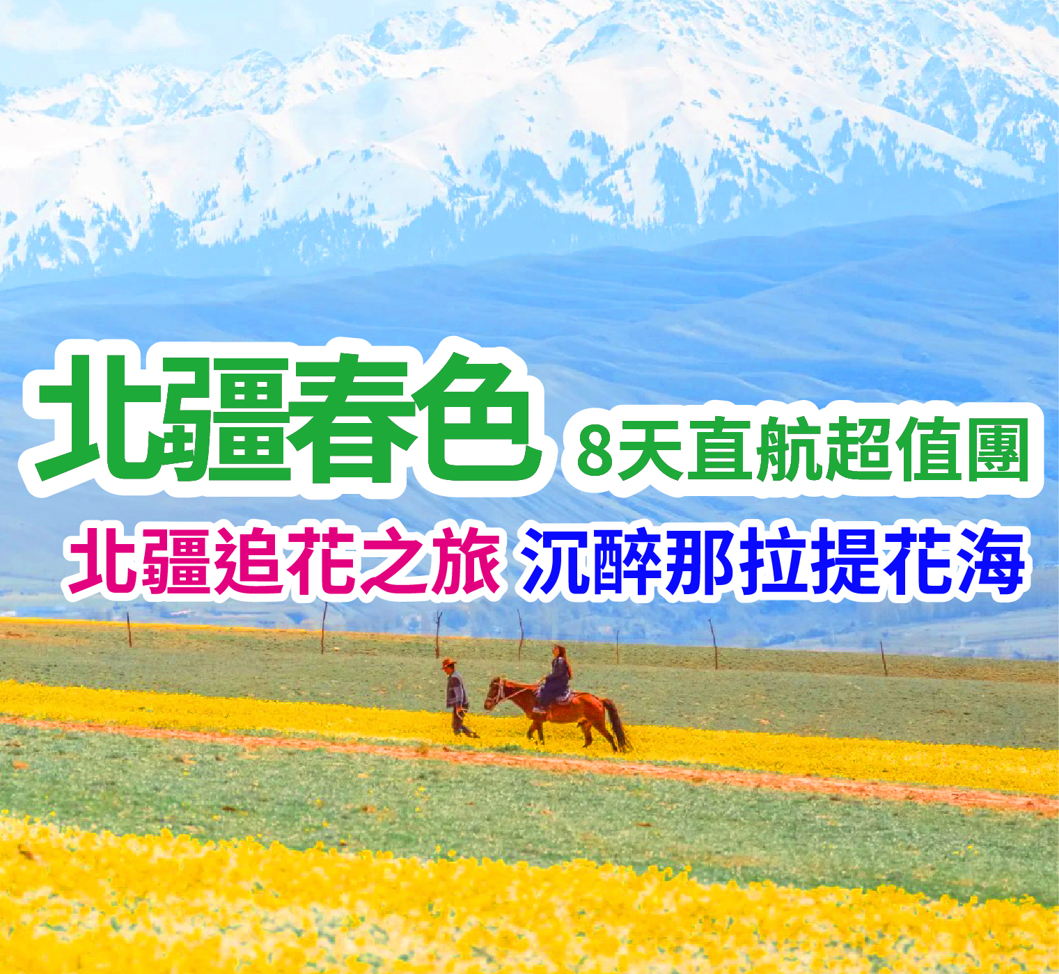 北疆追花之旅 沉醉那拉提花海 春色北疆直航8天團