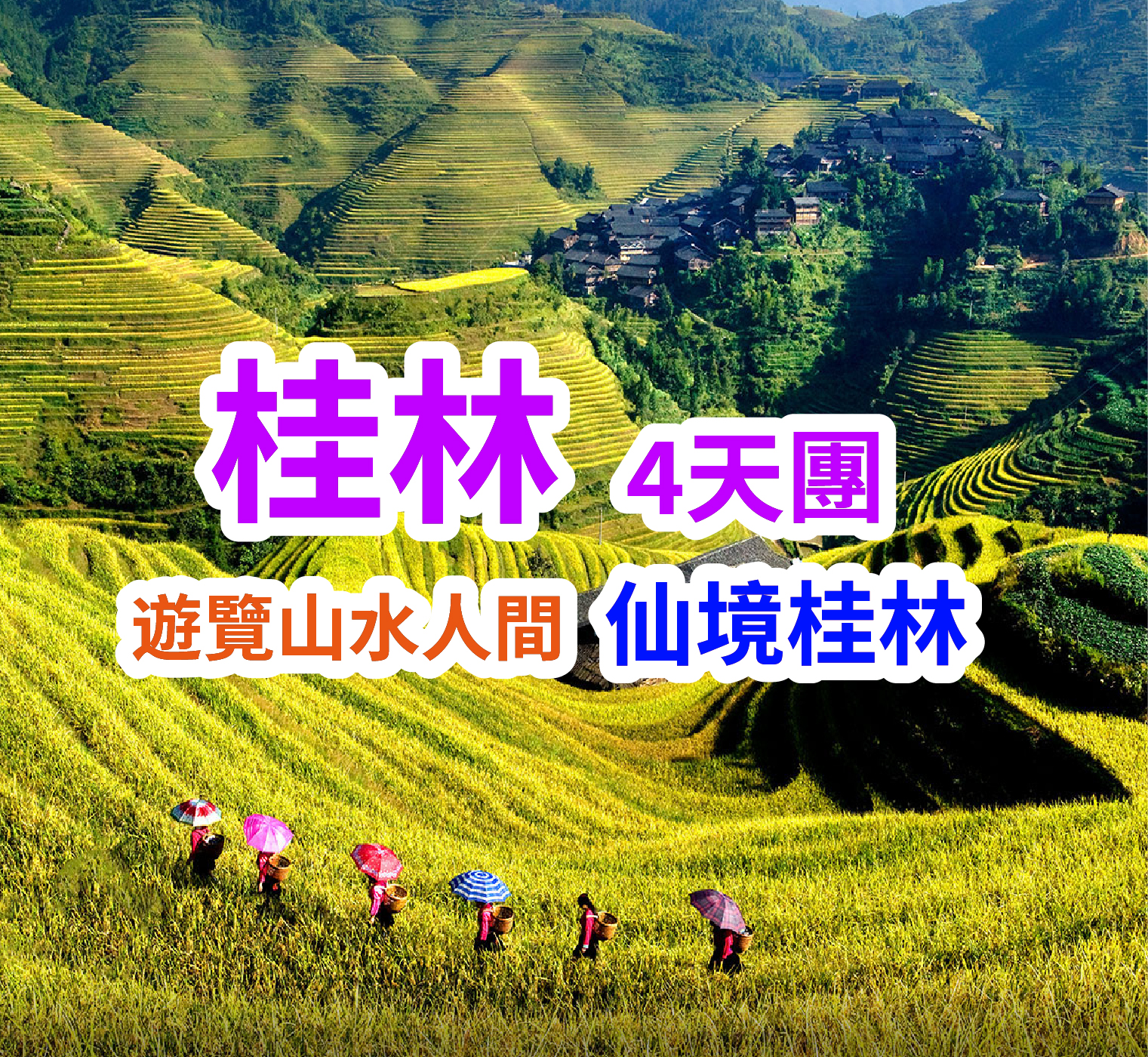 時令限定金秋滿城桂花飄香桂林超值4天團