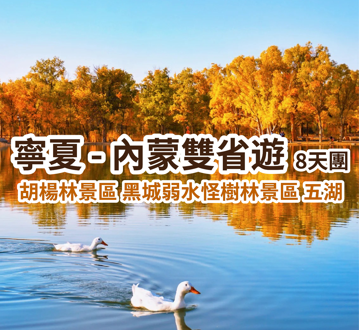 寧夏-內蒙雙省遊：一年一度胡楊林 童話般的金黃世界 直航 8 天團