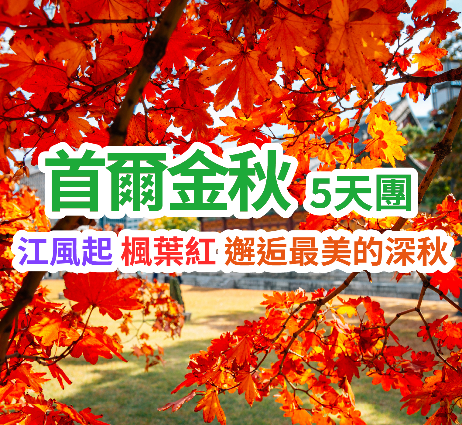 江風起 楓葉紅 邂逅最美的深秋 首爾金秋5天團