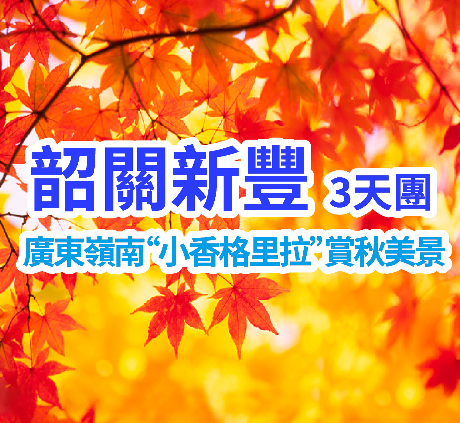 【季節限定】廣東“小香格里拉”之稱【南紅葉世界】連住兩晚上年全新開業國際品牌新豐溫德姆花園酒店【露台獨立溫泉泡池客房】純玩3天團