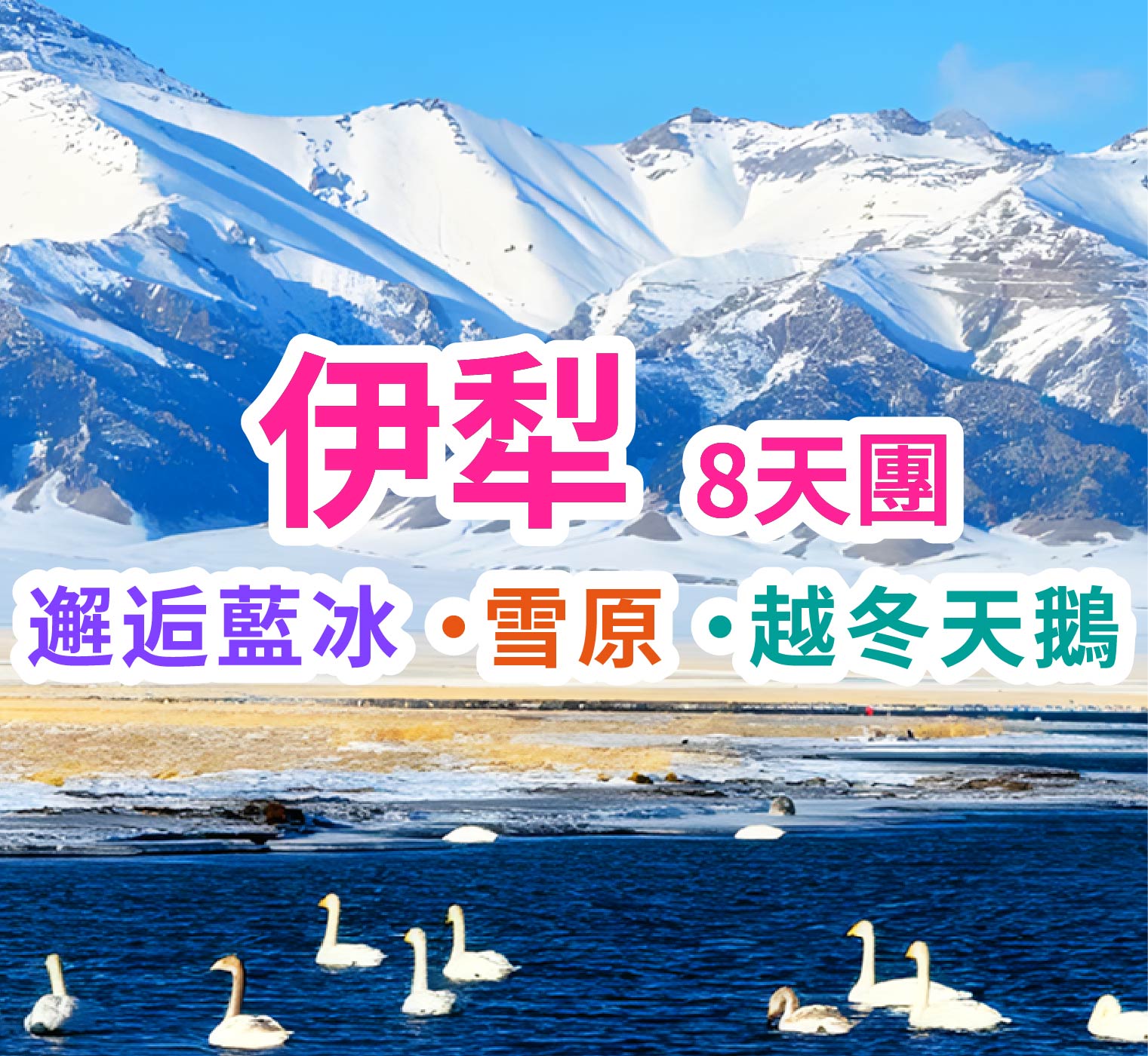 邂逅藍冰、 雪原、越冬天鵝 伊犁8天團