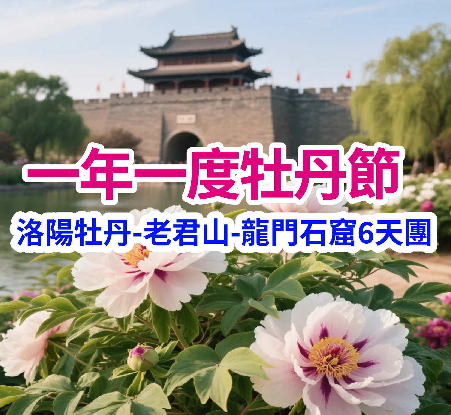 共赴盛唐 牡丹盛開醉華章 河南洛陽6天團