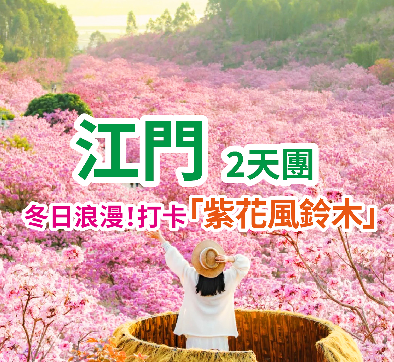 【粉色限定浪漫】打卡紫花風鈴木开成整山粉色的浪漫海 純玩2天團