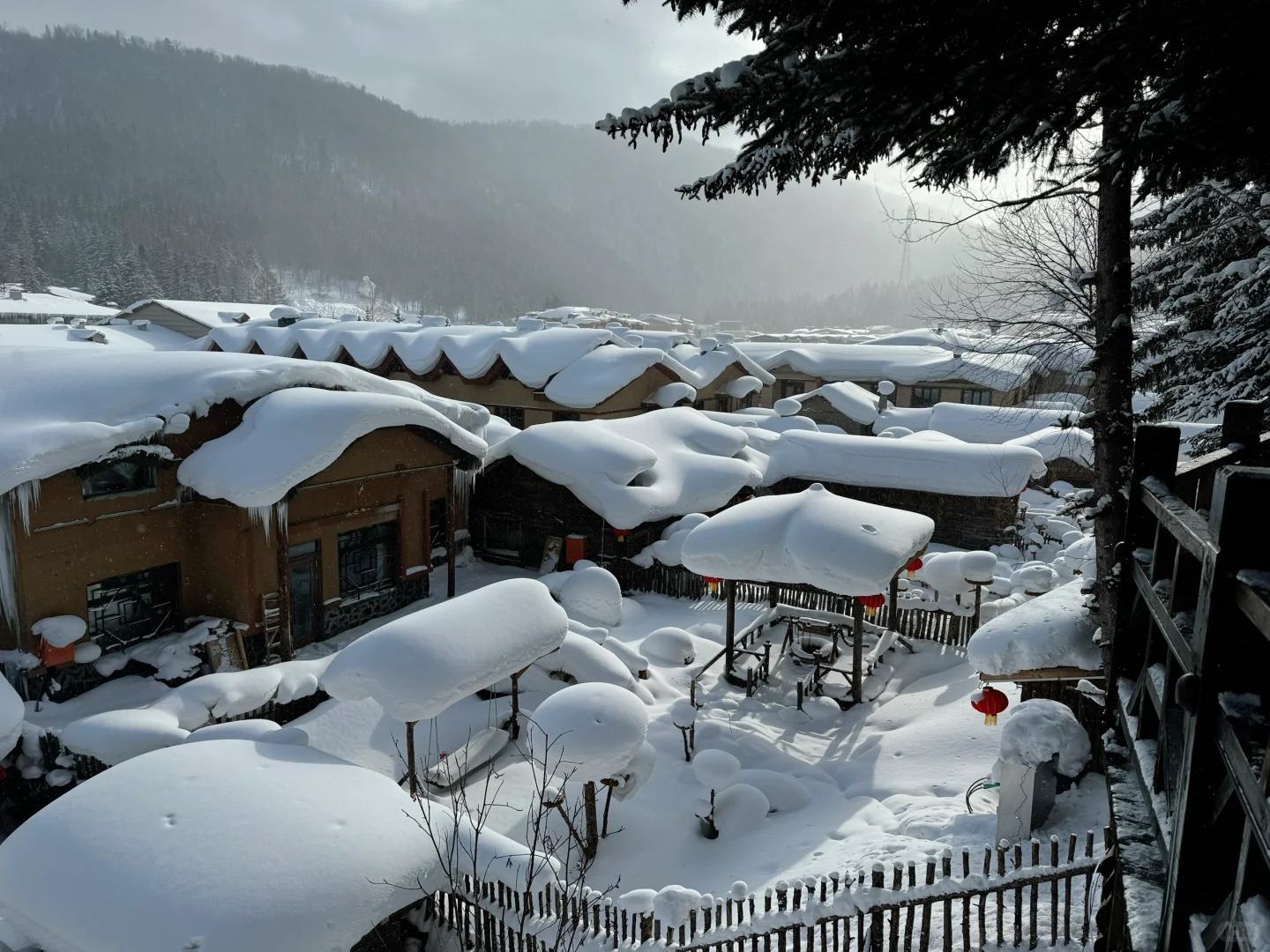 （冰雪主題-品質純玩）哈爾濱長白山直航8天團