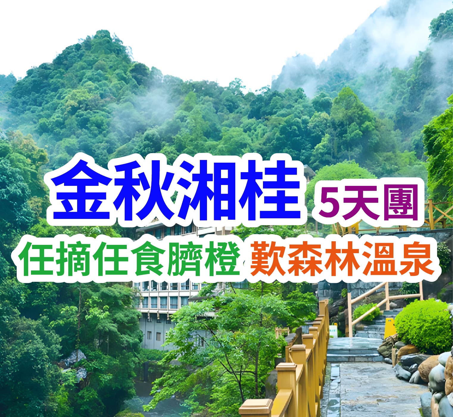 任摘任食臍橙 歎森林溫泉 金秋湘桂5天團