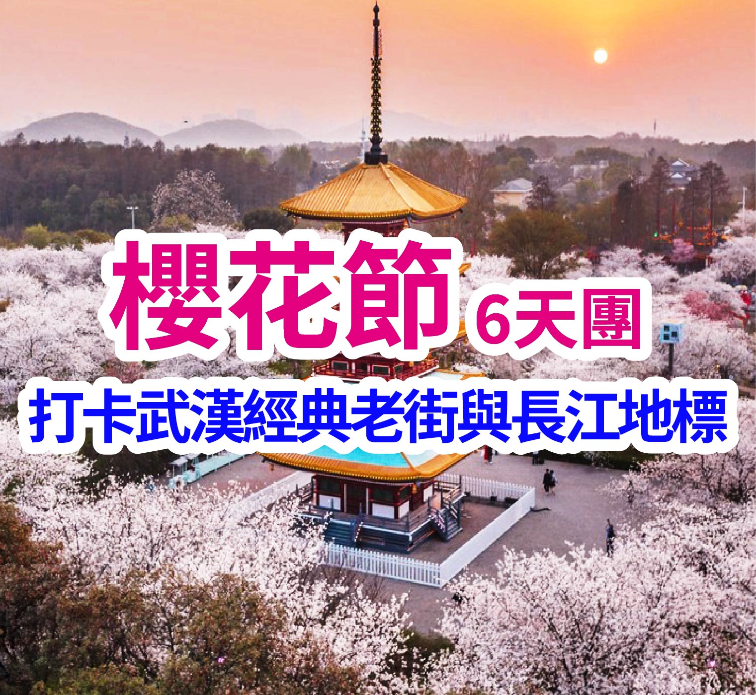 打卡武漢經典老街與長江地標 櫻花節6天團