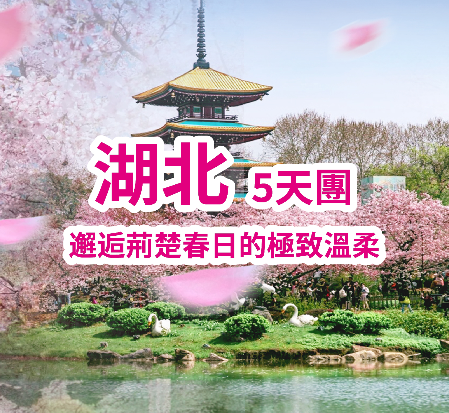 【時令限定相約湖北櫻花季】邂逅荊楚春日的極致溫柔 高鐵5天團