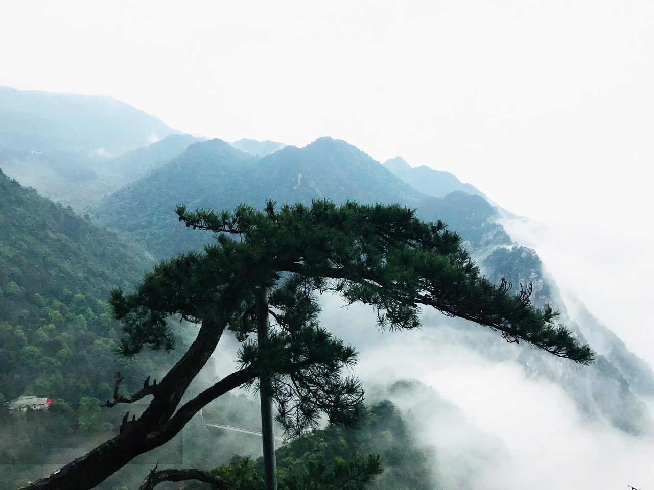 篁嶺曬秋絕景 石城紅楓 秋色江西5天團