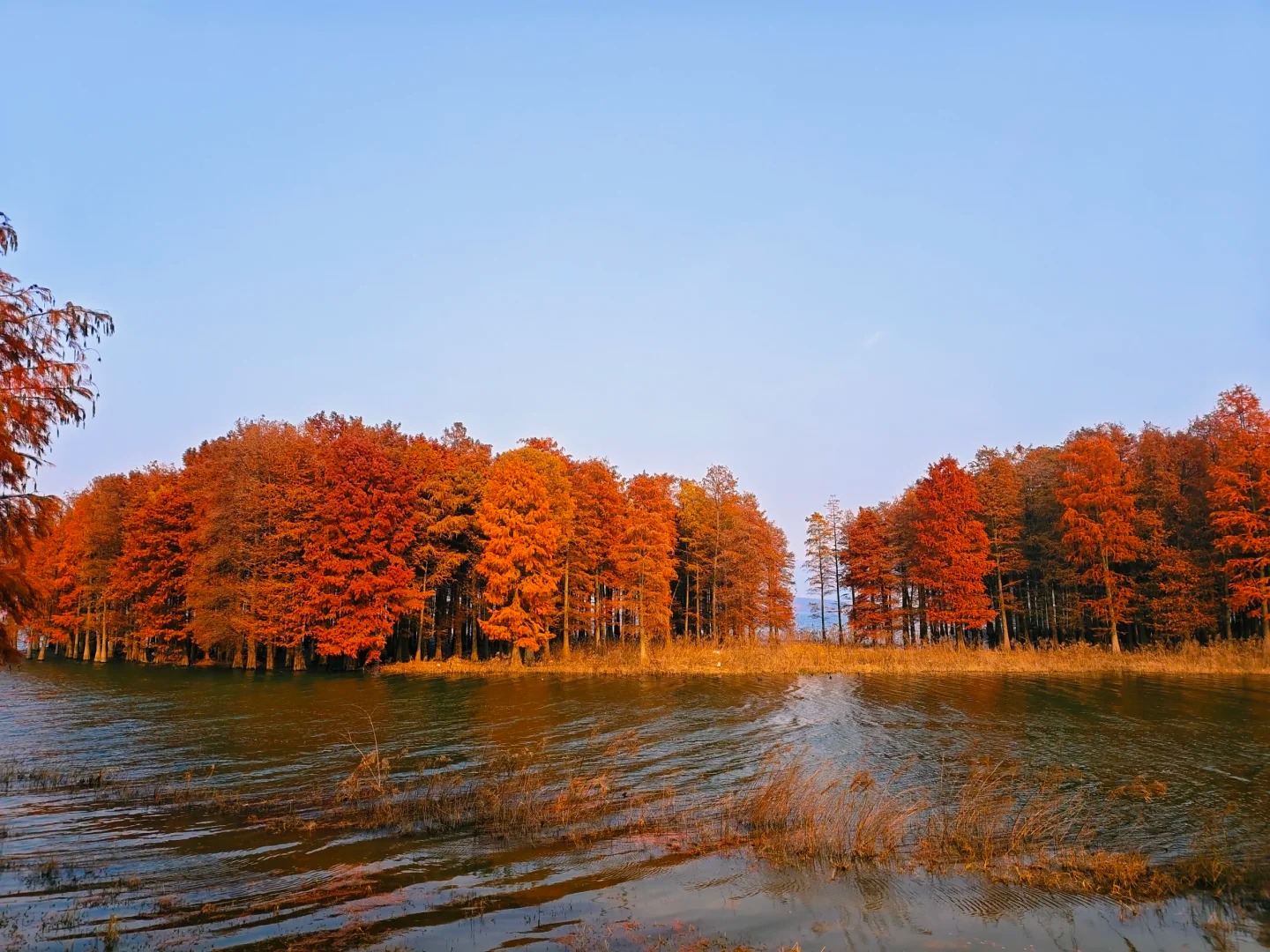 絕無自費巴士桂林陽朔 超值4天團