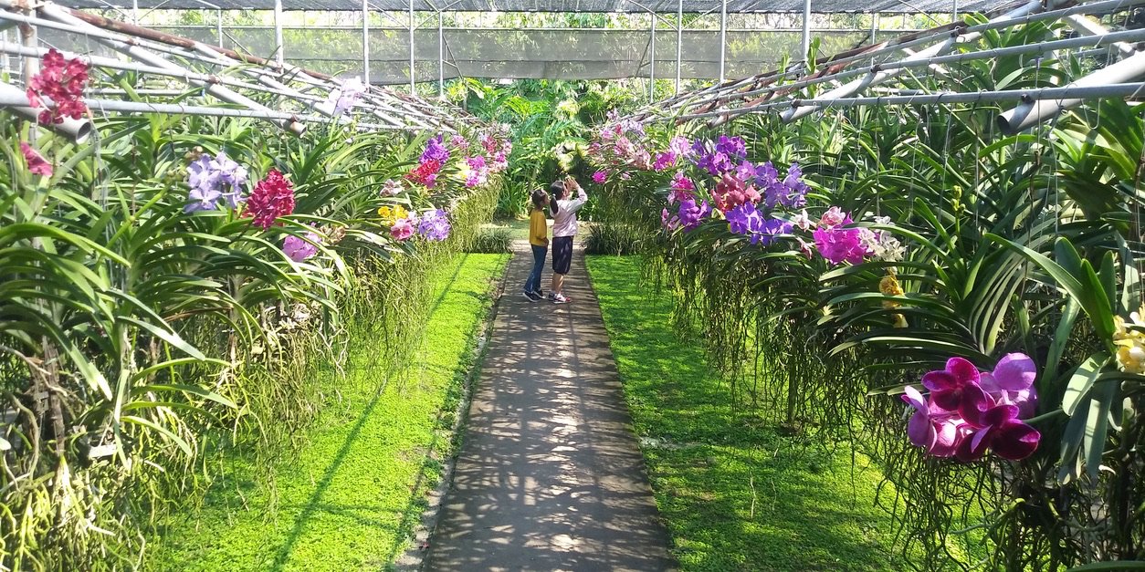 邂逅蘭納！醉美泰北 清邁清萊5天團