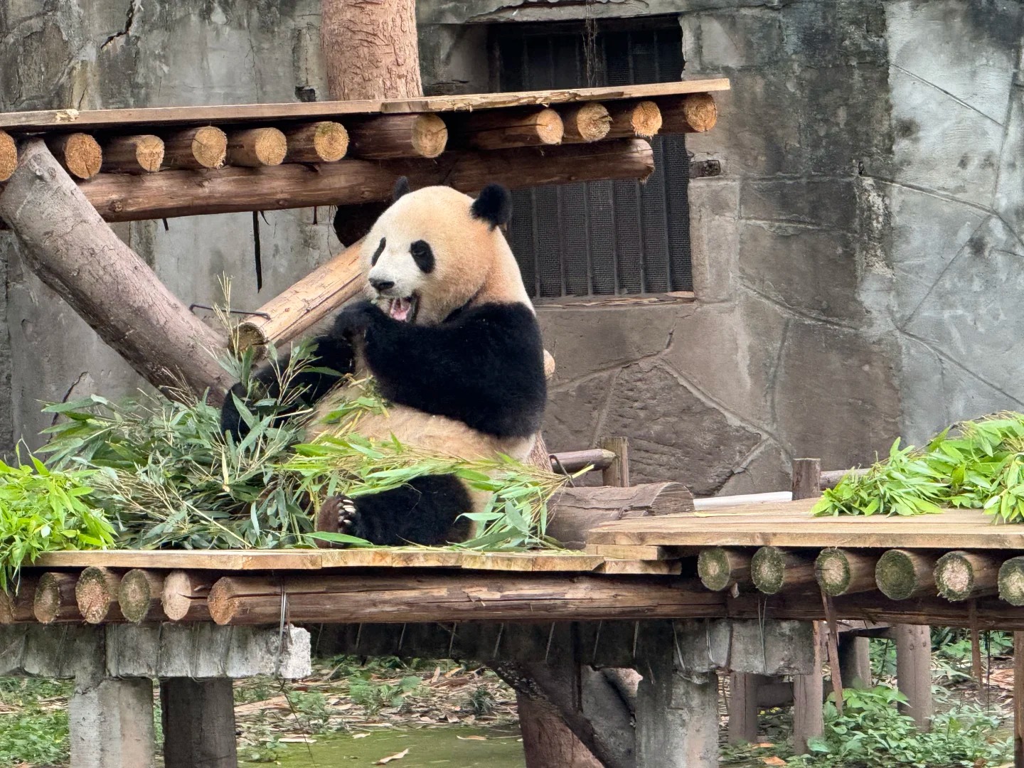 世界最大苗城 蚩尤九黎城 重慶貴州6天團