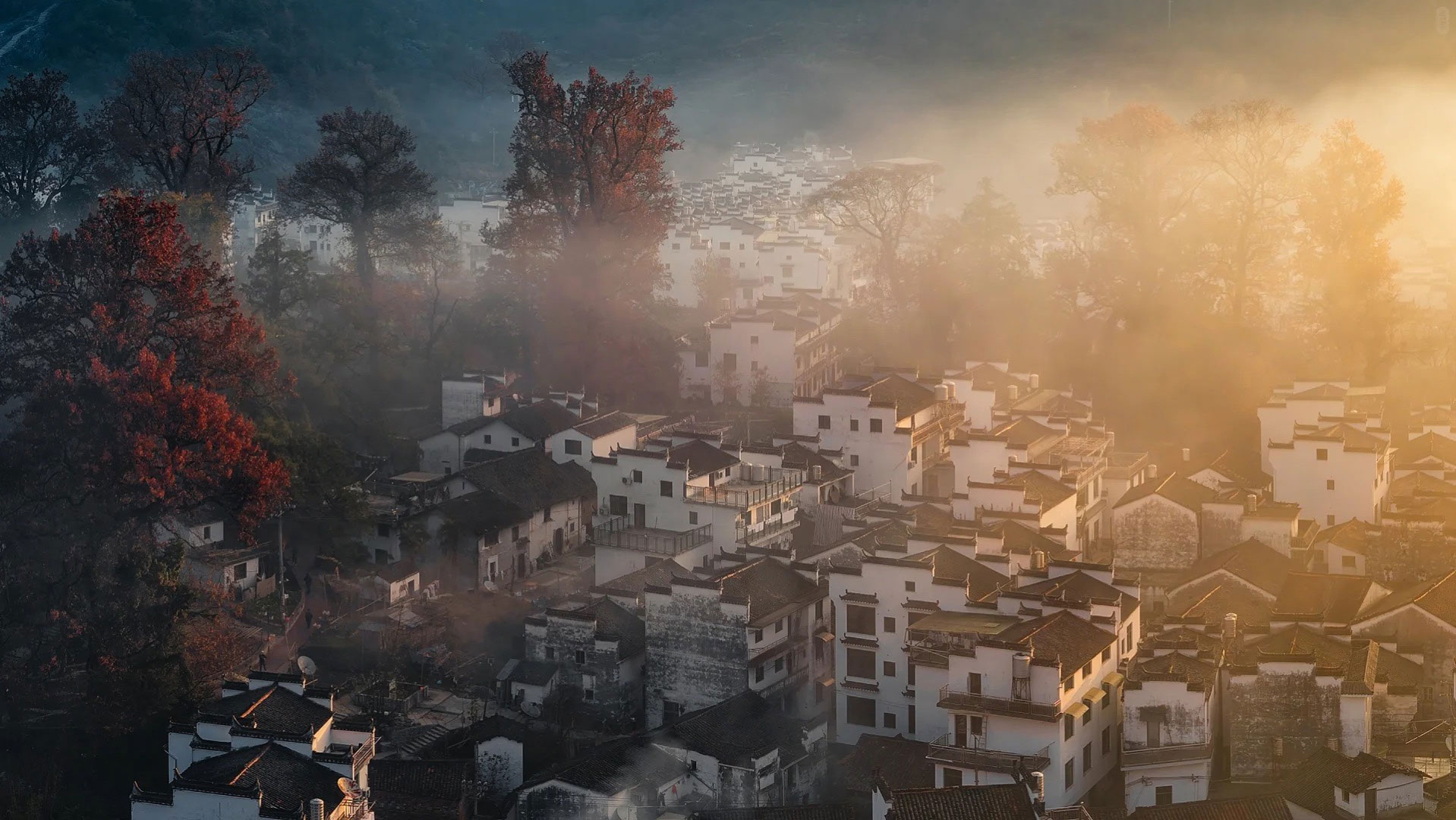 篁嶺曬秋絕景 石城紅楓 秋色江西5天團