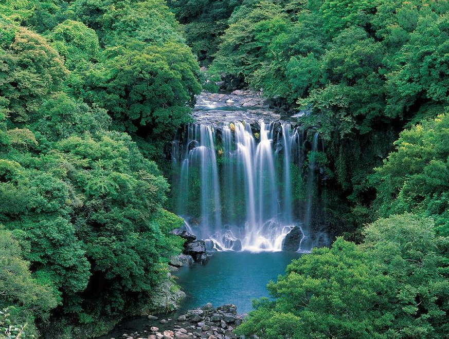 韓國濟州島4天團