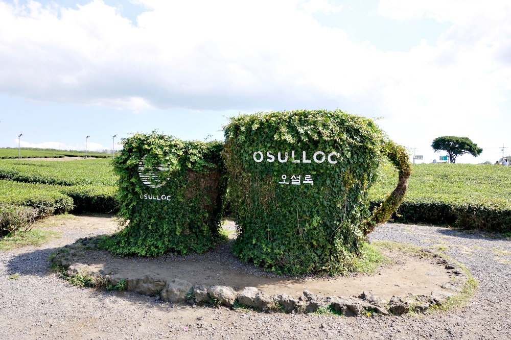 韓國濟州島4天團