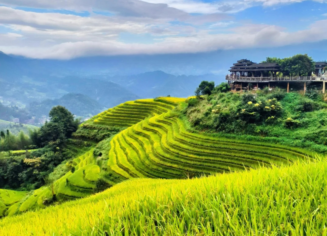 私家甄選 慢賞桂韻流光 桂林4天團