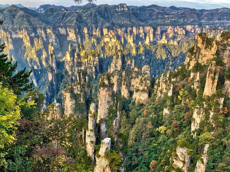 探索經典湖南：張家界奇境、天子山仙境與古鎮風情5天團