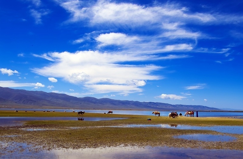 三省聯遊：西寧“天空之境”茶卡鹽湖  青海湖  塔爾寺銀川青銅峽黃河大峽谷 8天團