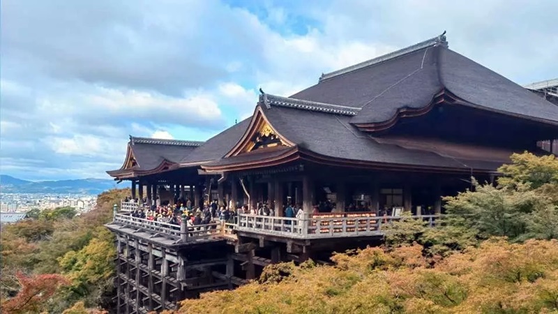 日本大阪京都5天團